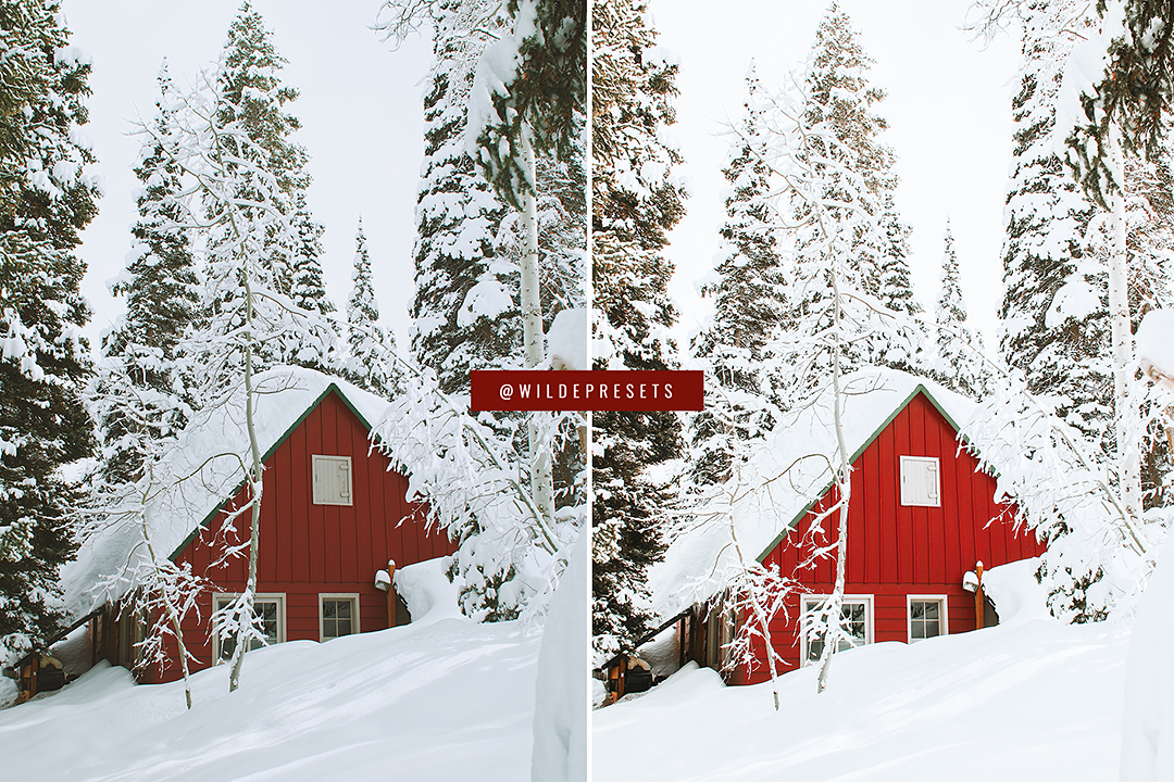 The Bright Christmas Preset Collection