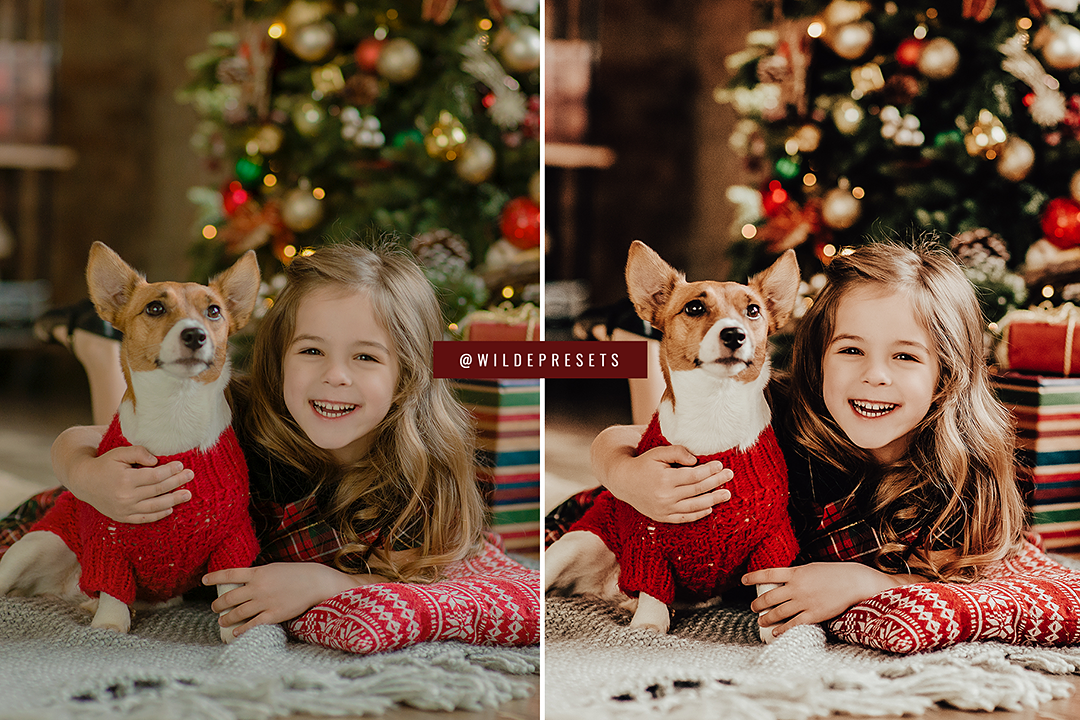 The Cozy Christmas Preset Collection