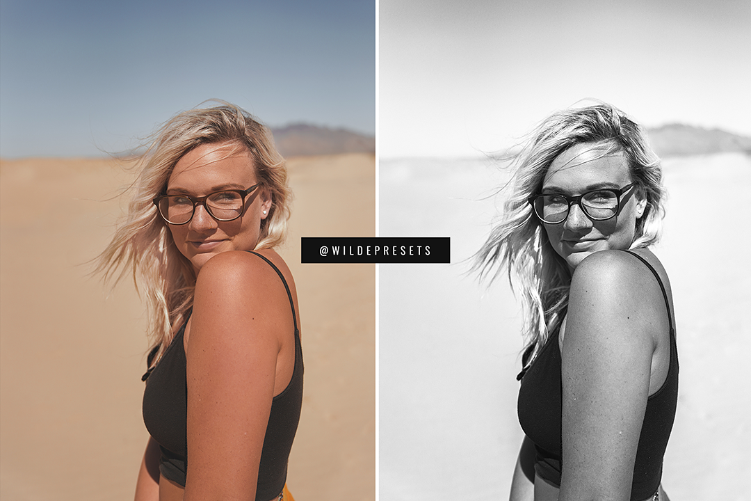 The Black & White Preset Collection